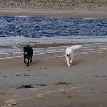 Casa de hóspedes Suaimhneas