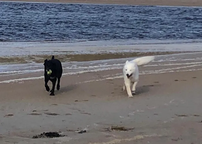 Casa de hóspedes Suaimhneas